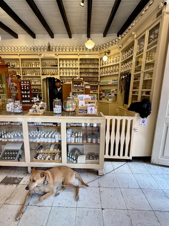 Photograph from A San Miguel de Allende Shopping Guide: Favorite Shops