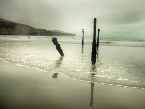 Minted Sea: Banks Peninsula