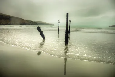 Minted Sea: Banks Peninsula