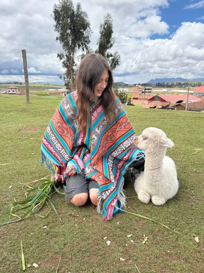 A baby alpaca, and a borrowed poncho