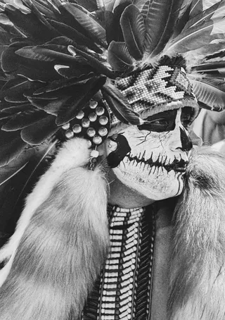 Feathered Skull