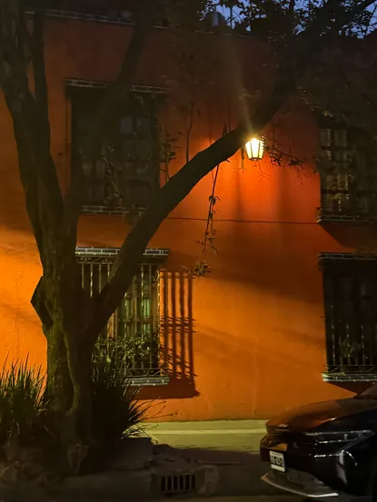 Photograph from A Day in Coyoacán