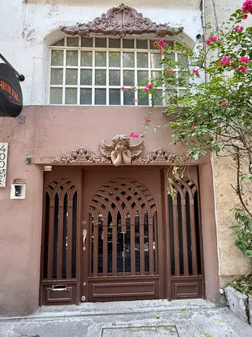 Photograph from Roma Norte and Condesa: Snapshots from a Leafy CDMX