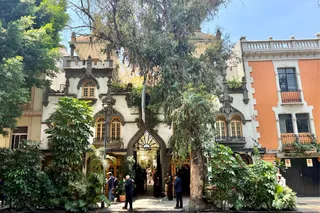 Roma Norte and Condesa: Snapshots from a Leafy CDMX