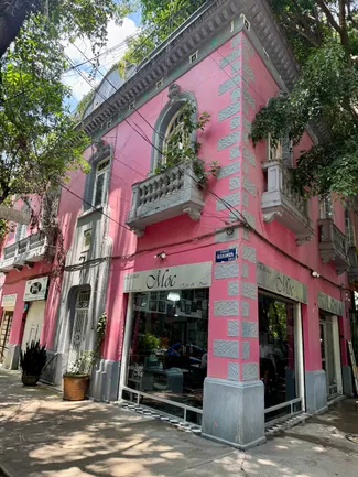 Photograph from Roma Norte and Condesa: Snapshots from a Leafy CDMX