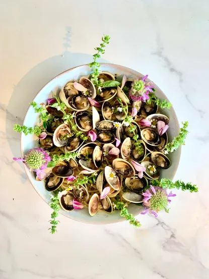 Photograph from Clams with Bee Balm & Basil Blossom Pesto