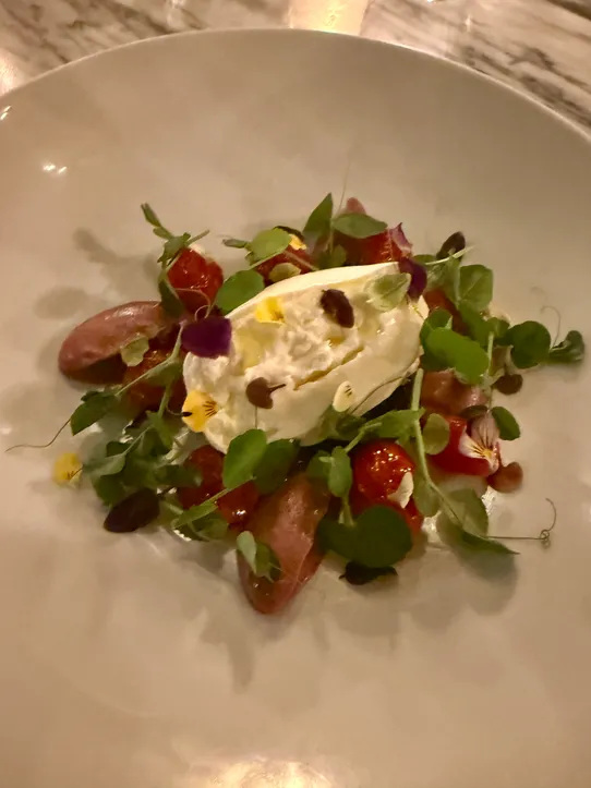 Burrata salad, black olive emulsion, cherry tomato & basil oil