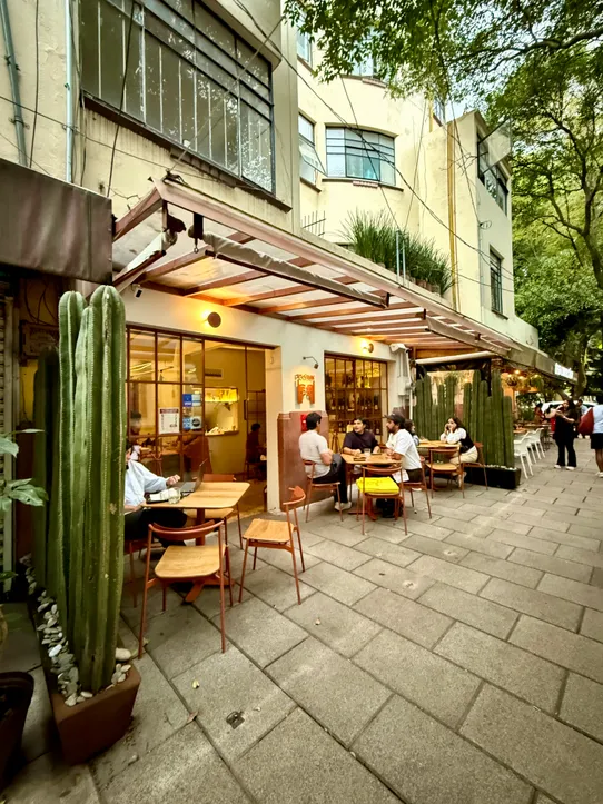 Photograph from Roma Norte and Condesa: Snapshots from a Leafy CDMX