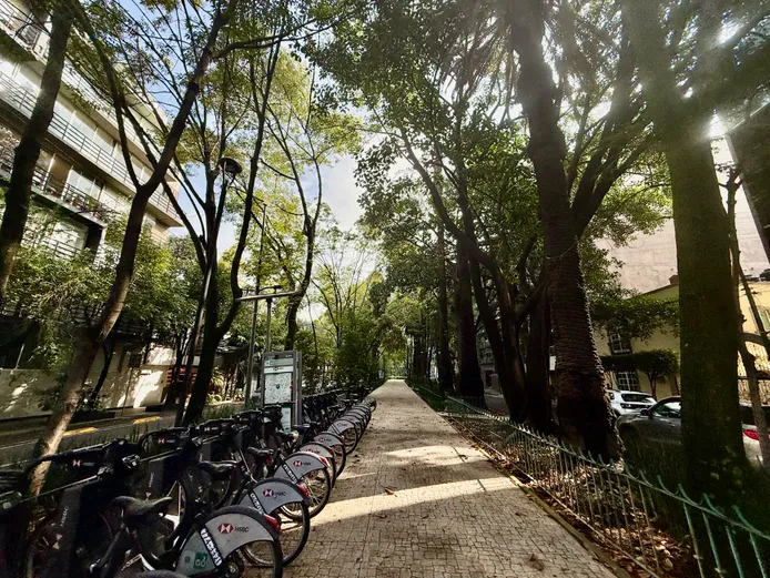 Photograph from Roma Norte and Condesa: Snapshots from a Leafy CDMX