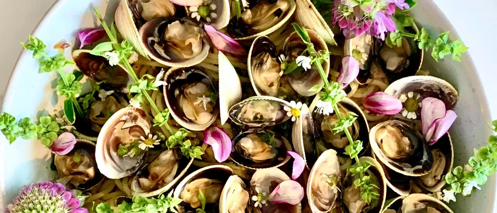 Clams with Bee Balm & Basil Blossom Pesto