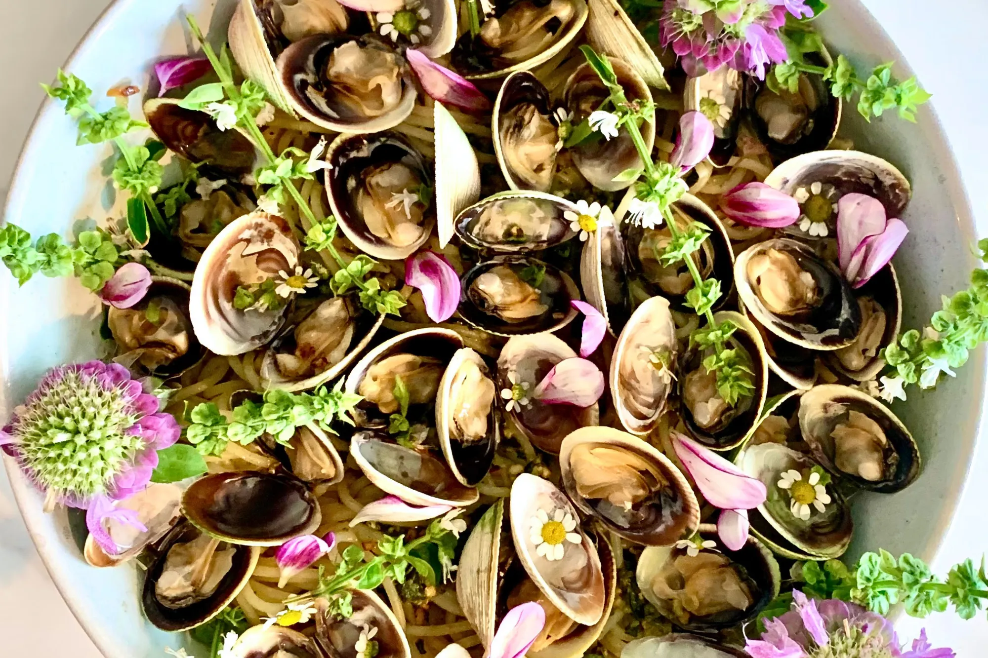 Clams with Bee Balm & Basil Blossom Pesto