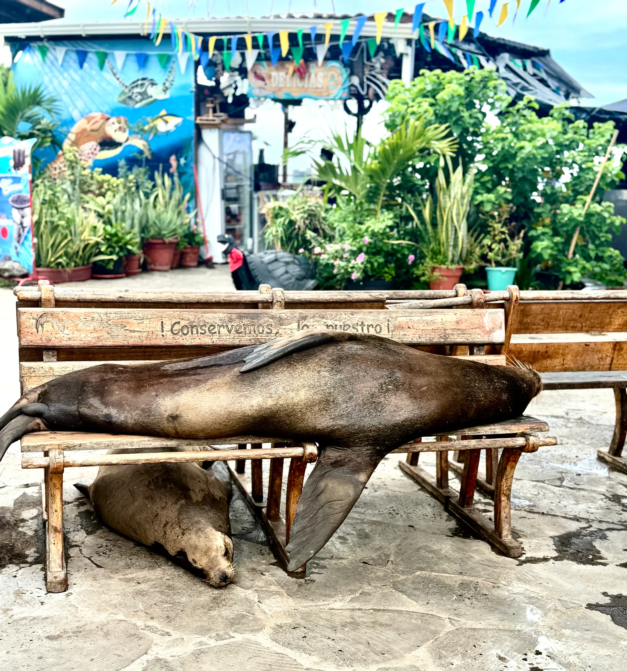 Galapagos