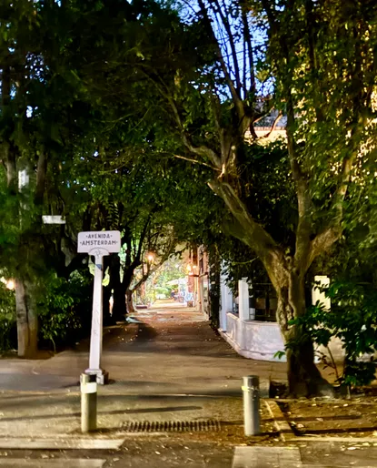 Photograph from Roma Norte and Condesa: Snapshots from a Leafy CDMX