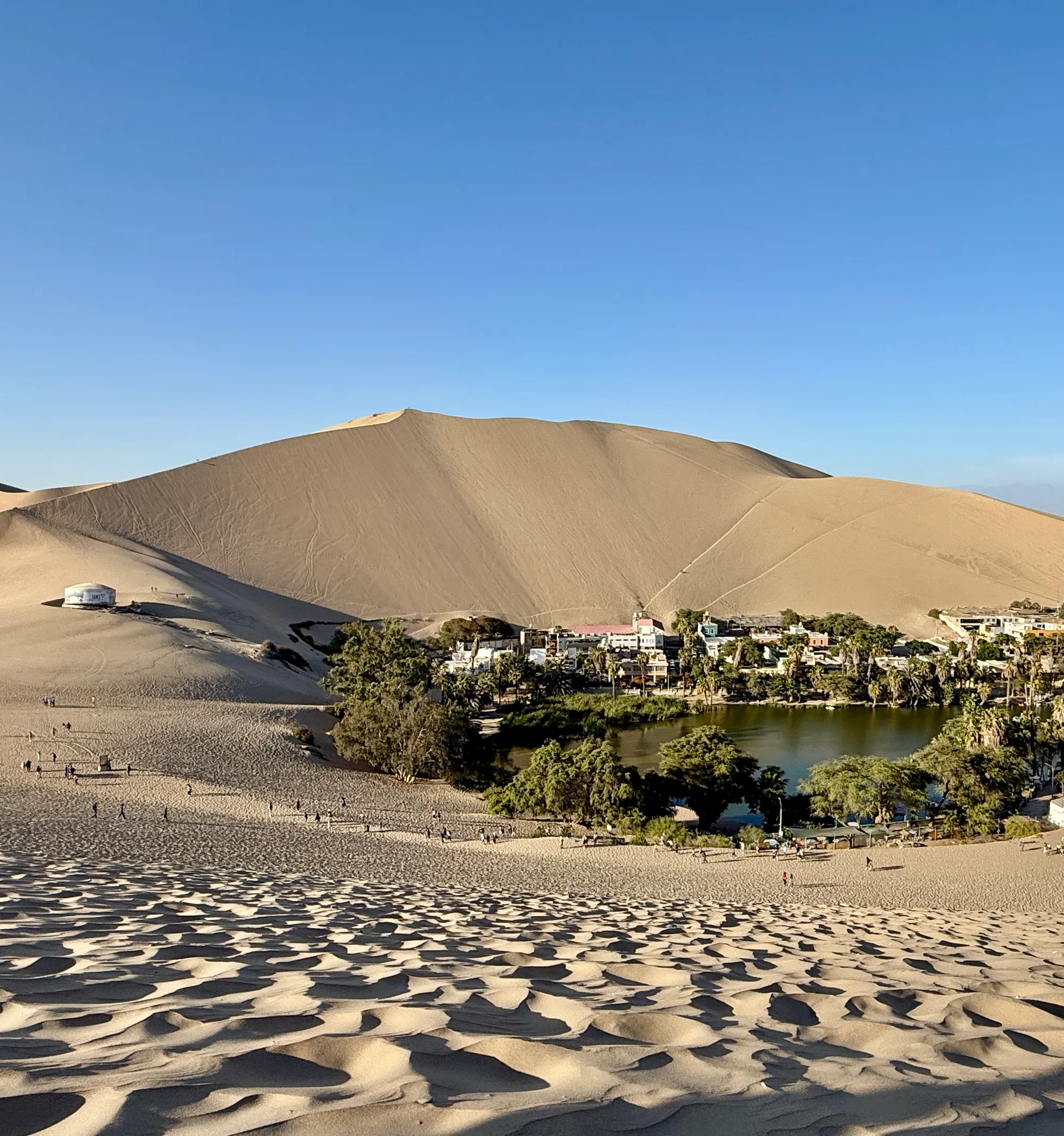 The oasis and town, seen from the top of the dune