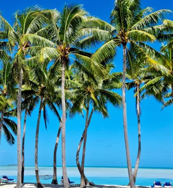 Photograph from Cook Islands Dispatch: A Birthday Escape to Aitutaki