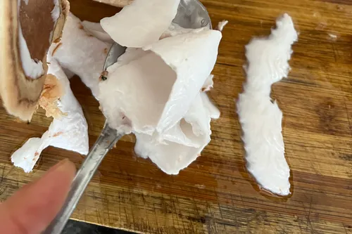 Recipe: Phla Ma Praw (Spicy Coconut Flesh Salad)