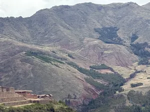 An alpaca and her cria above the valley