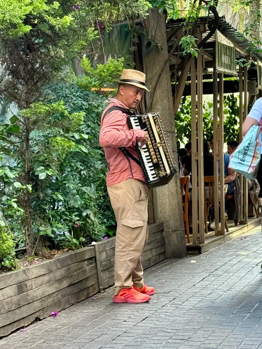 Photograph from Roma Norte and Condesa: Snapshots from a Leafy CDMX