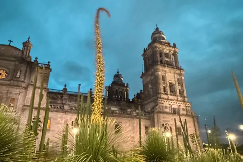 7 Hours in Centro Histórico