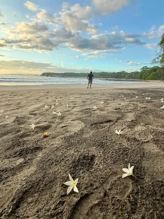 Nosara Beach