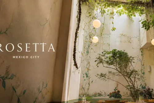 Rosetta: Baskets of Bread & Some Real Delights