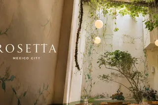 Rosetta: Baskets of Bread & Some Real Delights