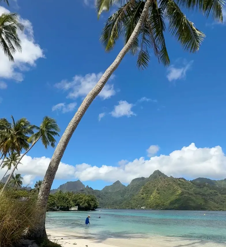 Moorea & Tahiti