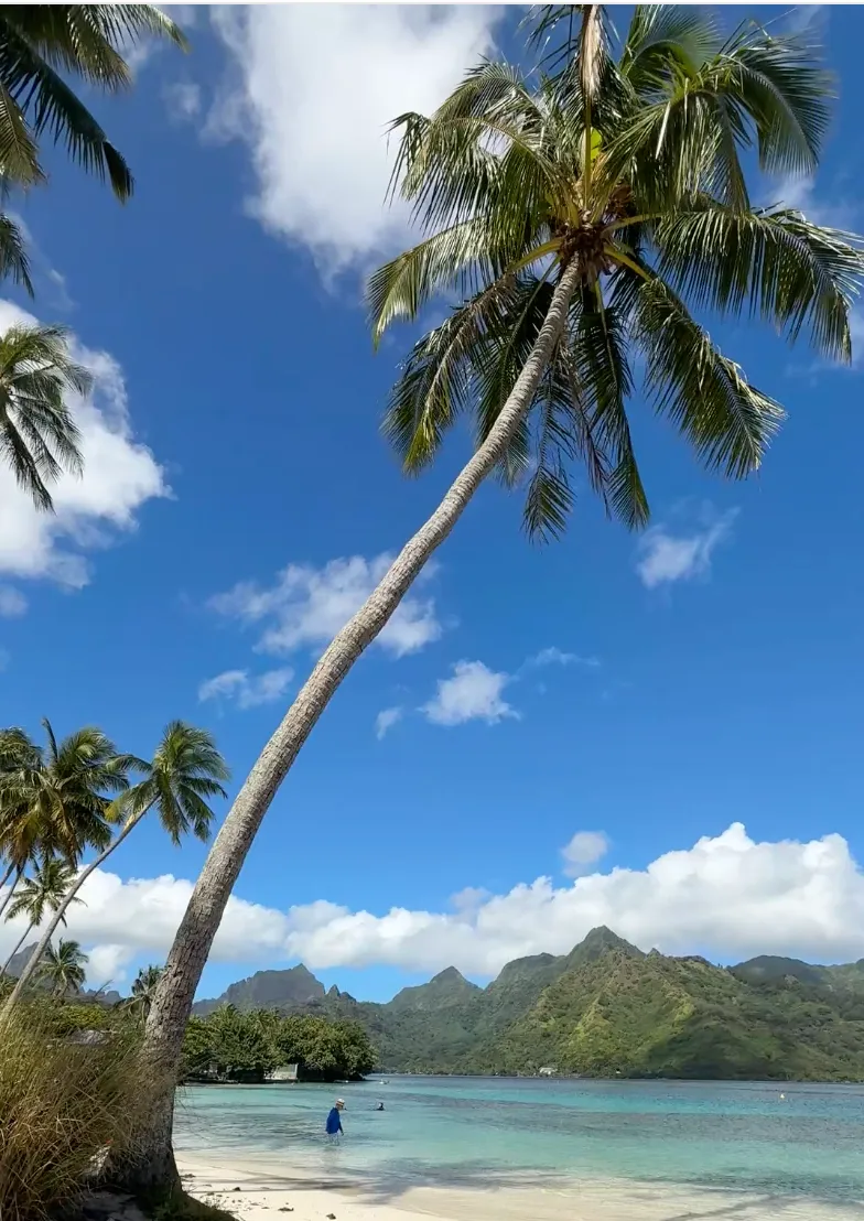 Moorea & Tahiti