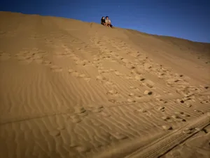 Out on the dune under the stars