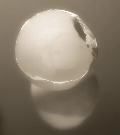Eggshell