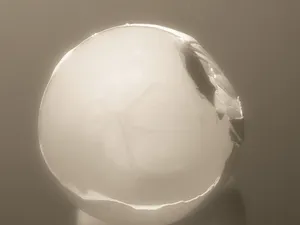 Eggshell
