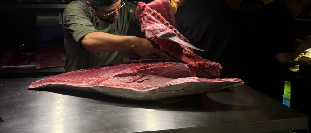 Tuna Breakdown: Inside Mexico City’s Baja Bluefin Ritual