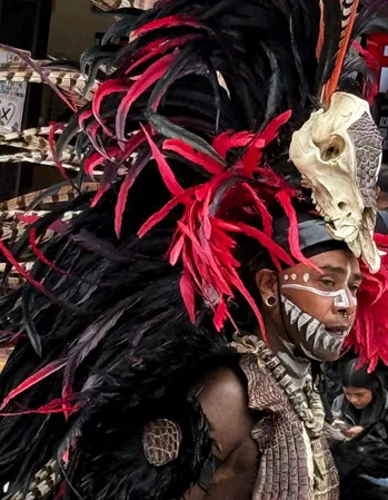 Photograph from What Came Down the Street: Gran Desfile de Danzas Locales y Foráneas