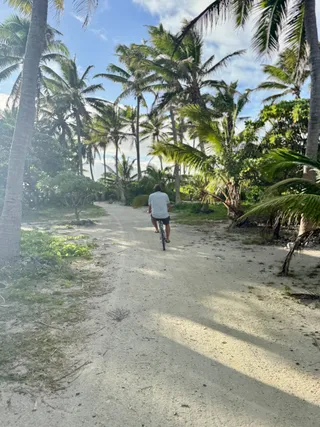 The sand track through the palms