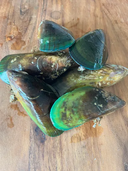 Photograph from Recipe: Dynamite Green Lipped Oyster