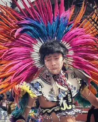 Feathered Dancer
