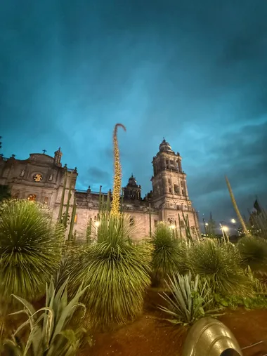 Metropolitan Cathedral, Zócalo, Mexico City