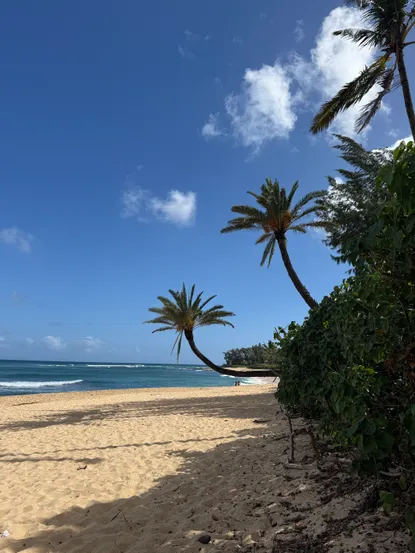 Sunset Beach