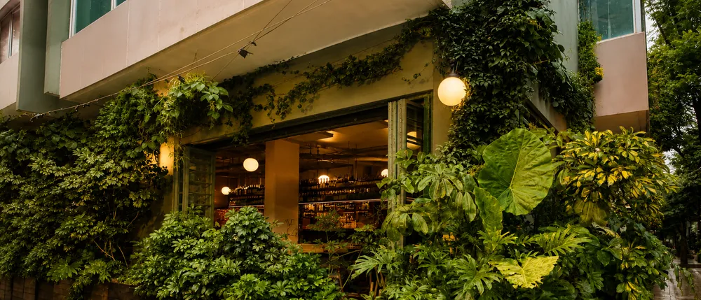 Lardo: A Solid Neighborhood Hang