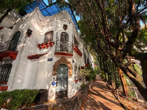 Photograph from Roma Norte and Condesa: Snapshots from a Leafy CDMX