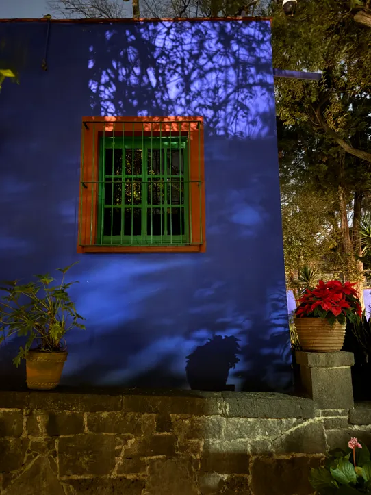 Photograph from A Day in Coyoacán