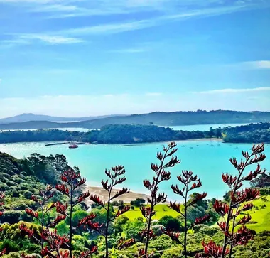 Harakeke, Waiheke Island