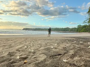 Nosara Beach