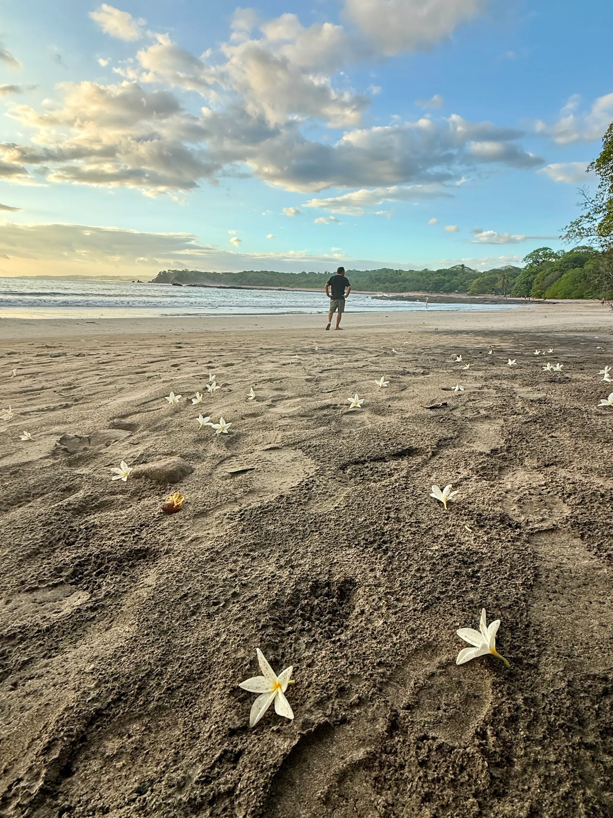 Nosara Beach
