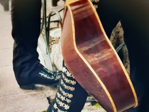 Botones charros del traje de mariachi