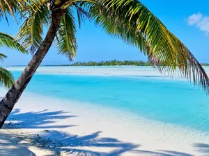 A single palm over the shallows