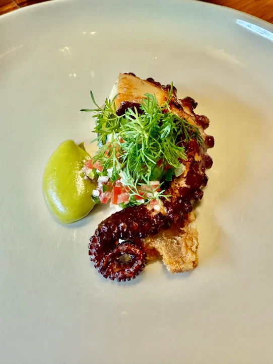 Photograph from Pujol: In Search of Mole Madre