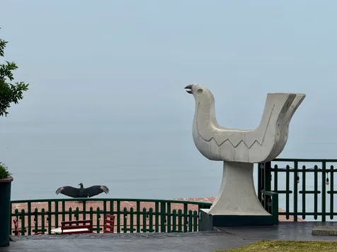 Terrace where you can have a drink