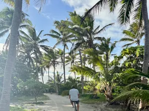 The sand track through the palms