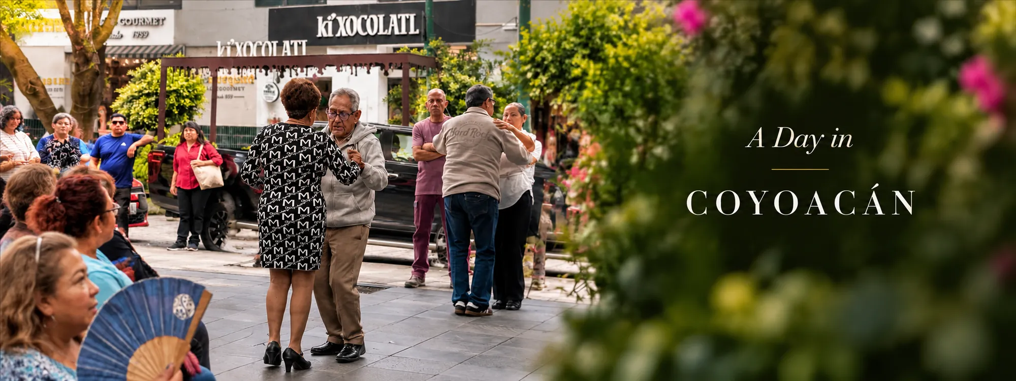 A Day in Coyoacán